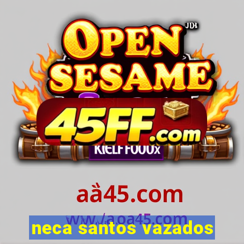 neca santos vazados